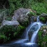 Babutaal Resort