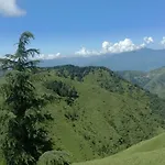 Pinaceae Resort