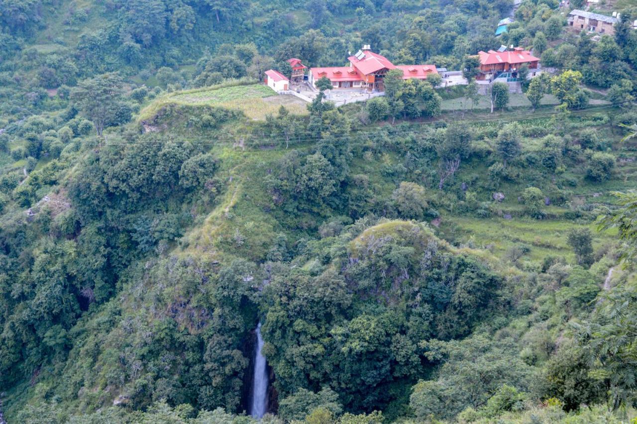 Tiger Fall Eco