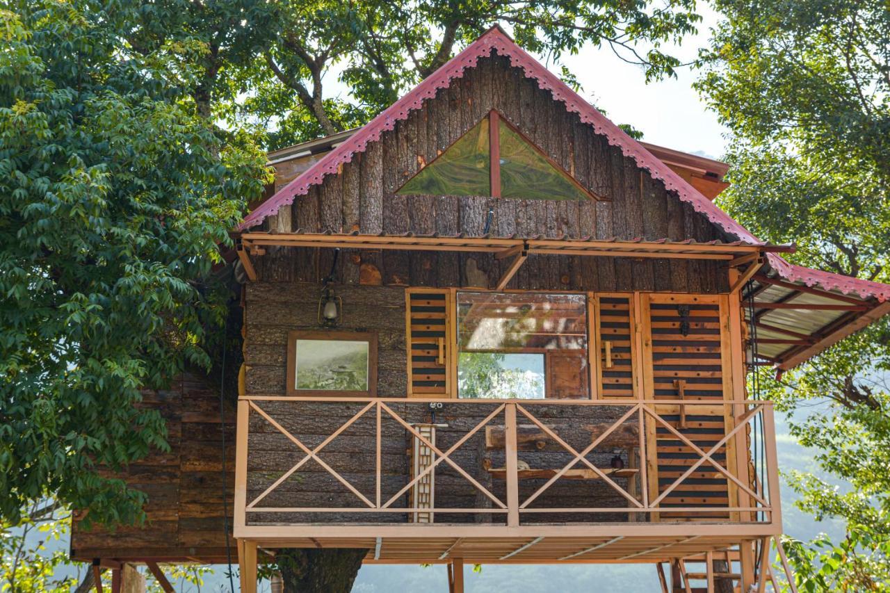 Hotel Tiger Fall Eco