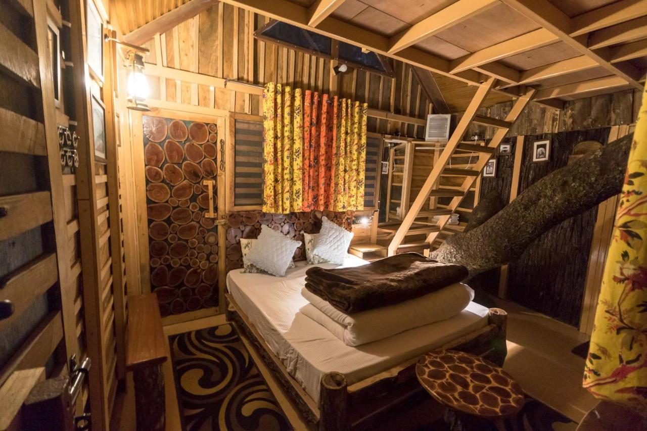 Hotel Tiger Fall Eco *