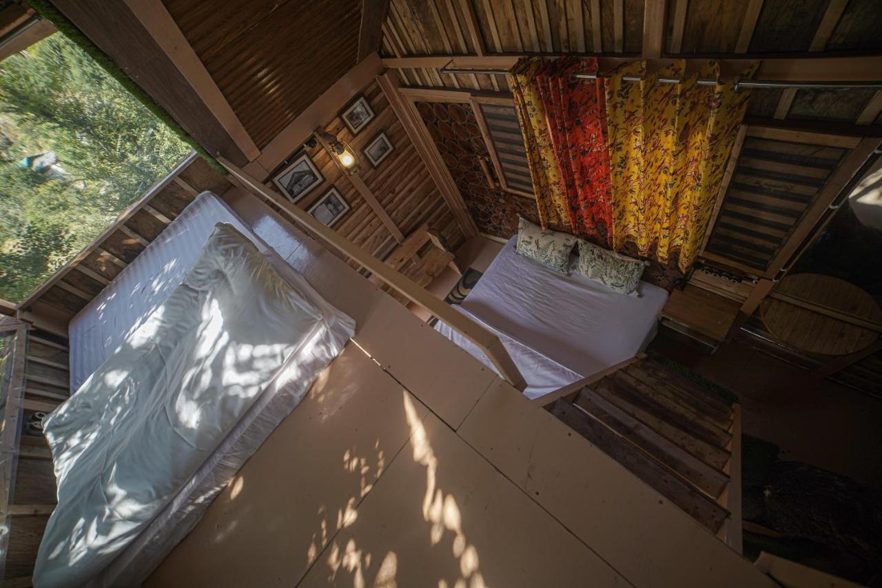 Hotel Tiger Fall Eco *