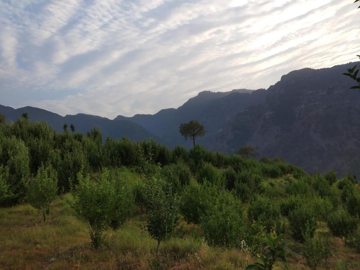Kanasar Homestay Chakrata