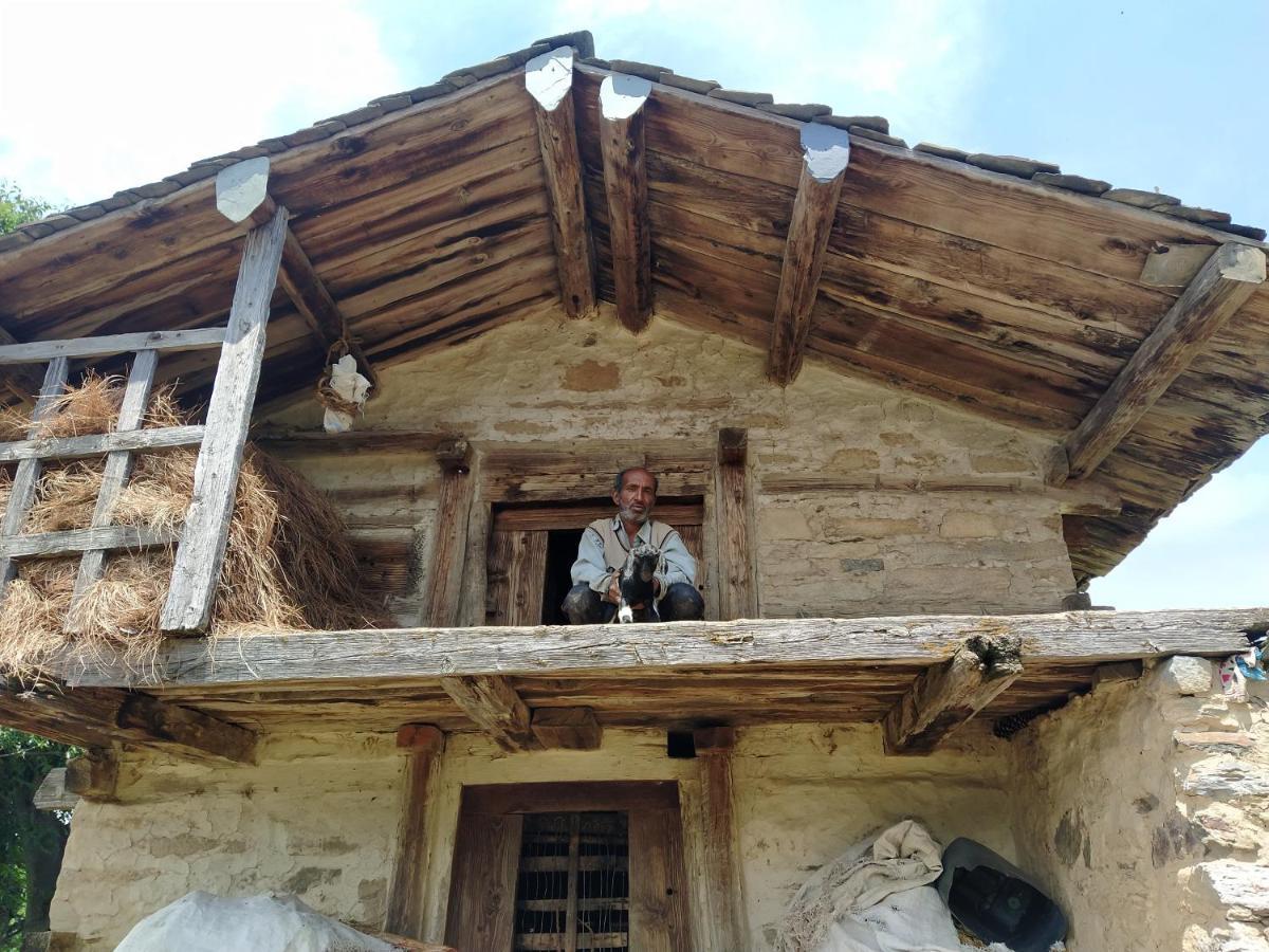 Kanasar Homestay Chakrata