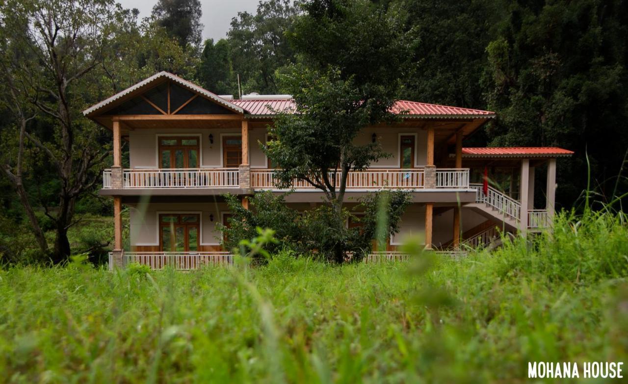Mohana House Homestay *