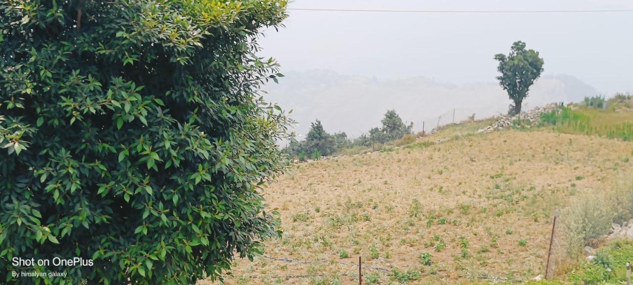 Himalayan Galaxy Hotel Chakrata