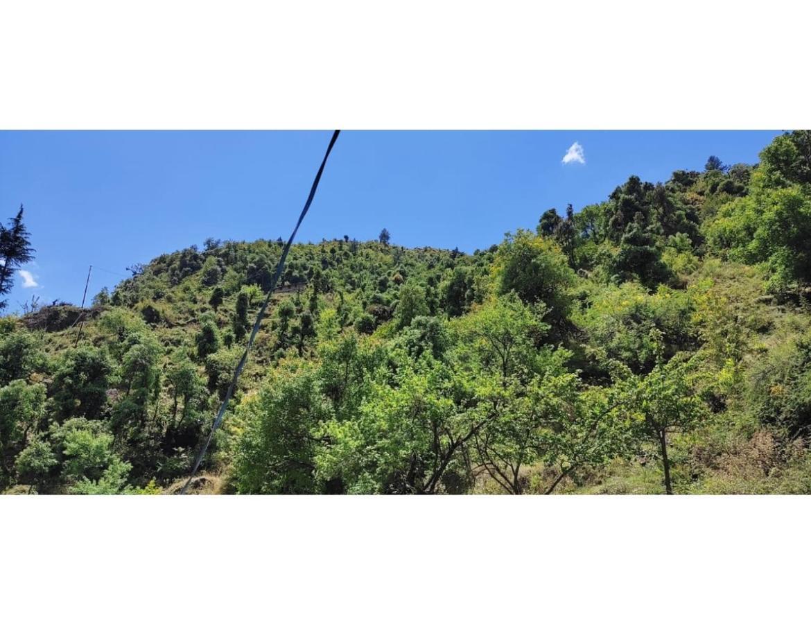 Sandeep Stay, Homestay Chakrata