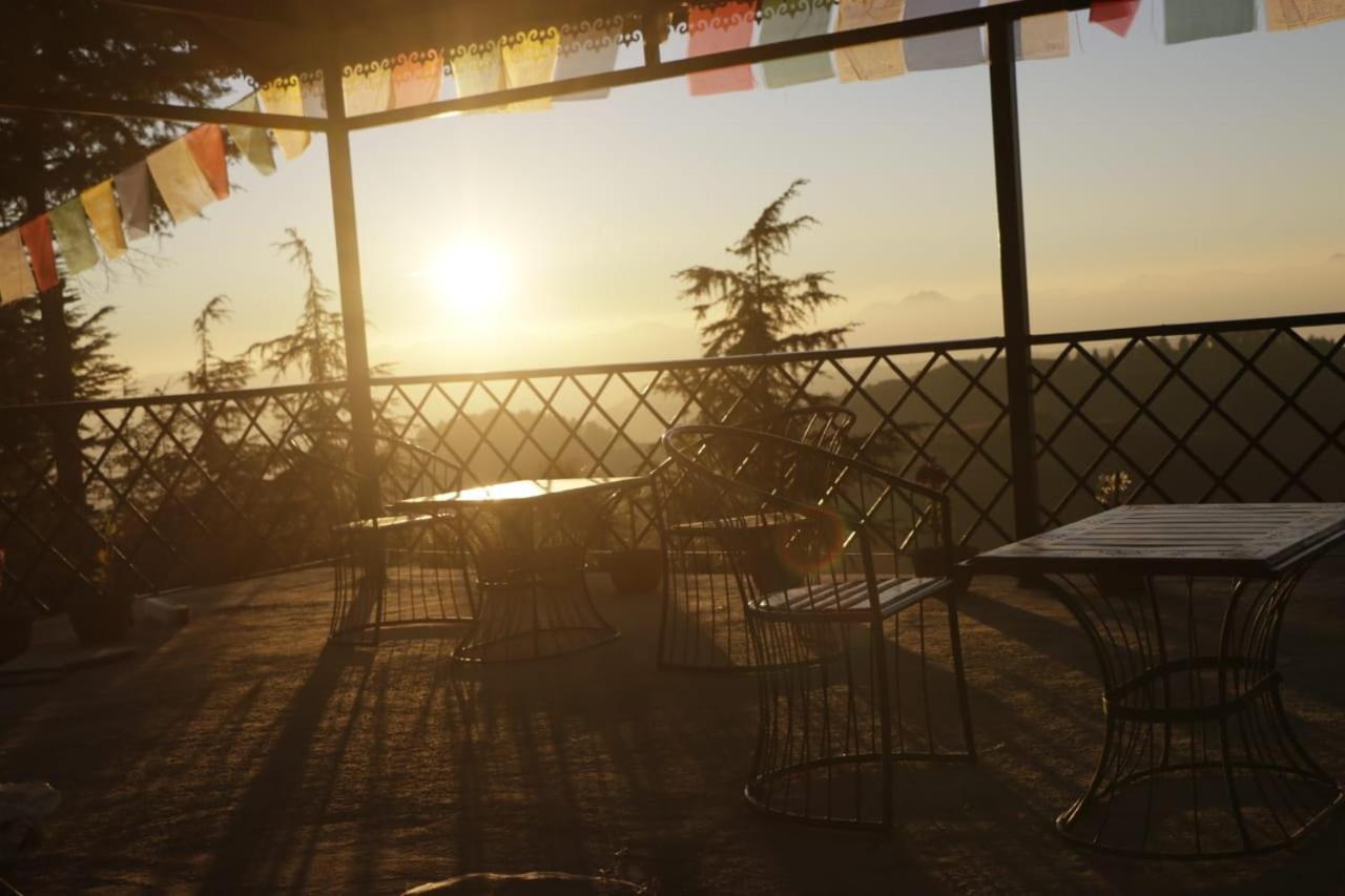 Pinaceae Resort *