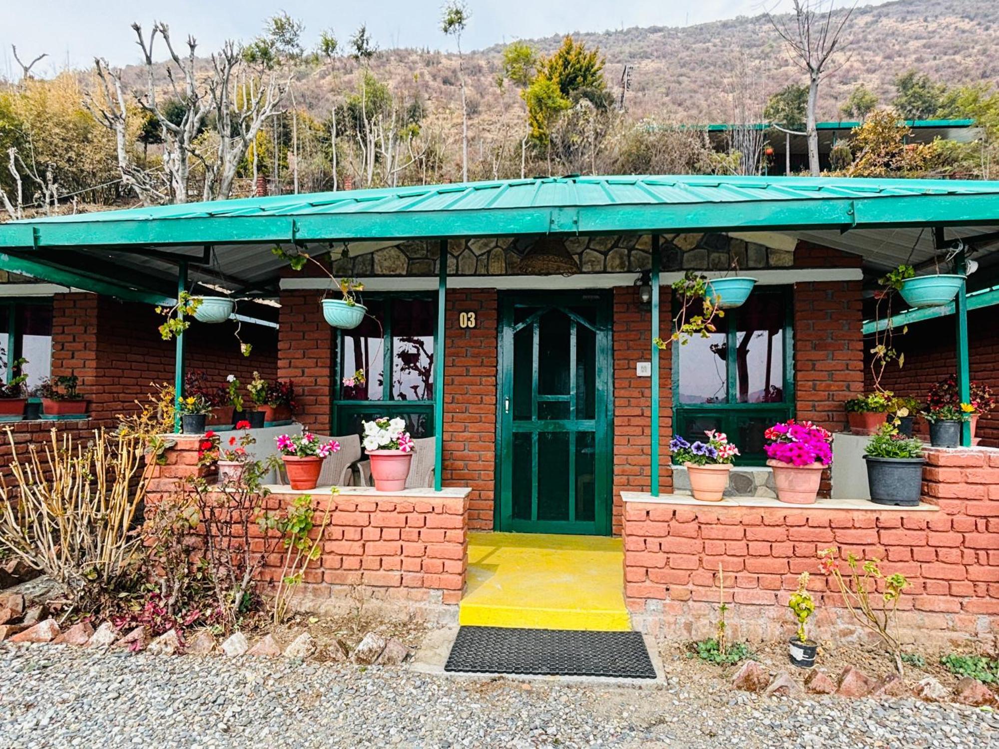 Luxury tent On The Roof, Viraatkhai-chakrata, By Himalayan Eco 2*