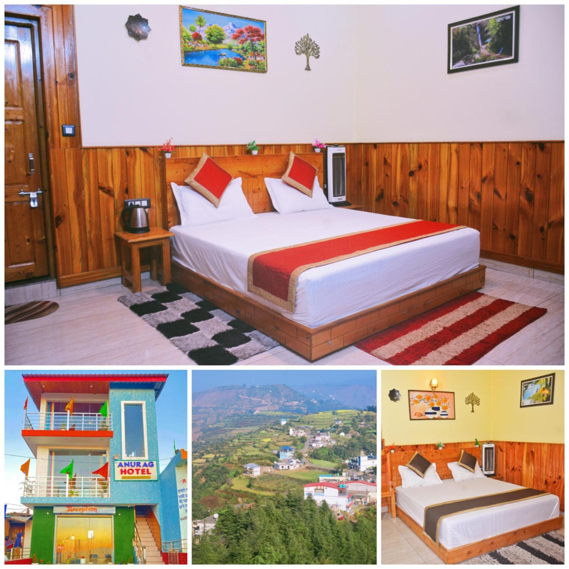 Hotel Anurag 4*