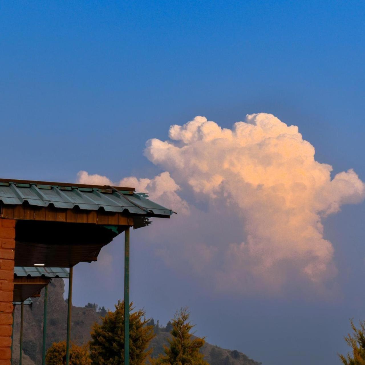 Resort Deodar *
