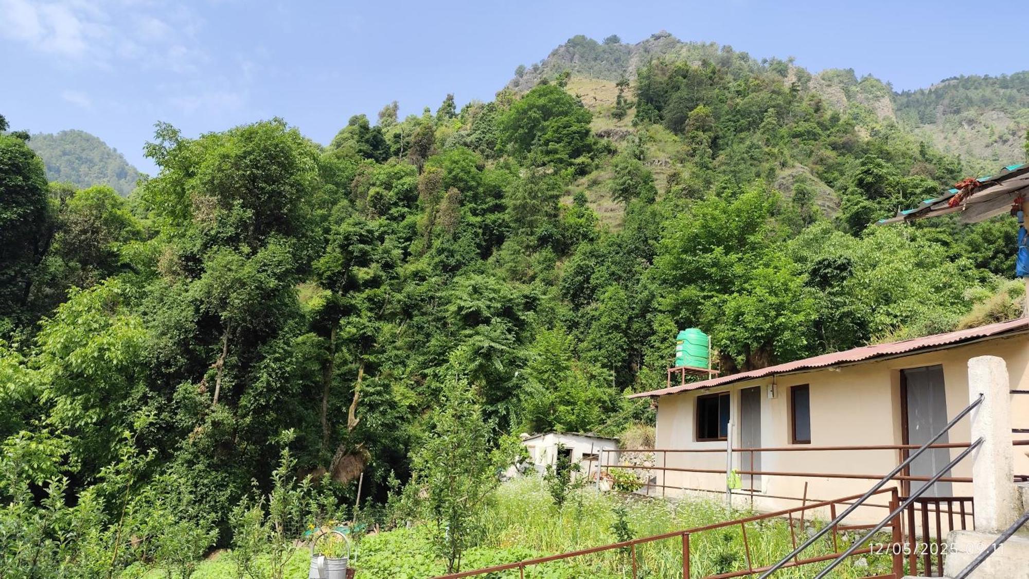 Homestay Ds Residency Homestay,